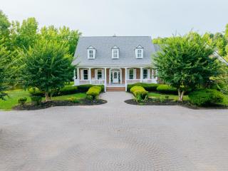 Beautiful Estate in 19 acres of land in Apex - 6