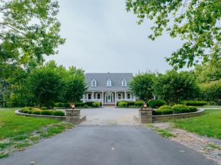 Beautiful Estate in 19 acres of land in Apex - 9