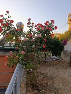 SOLE INN - 4