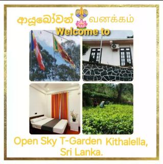 Open Sky T Garden Kithalella - Bandarawela - 0