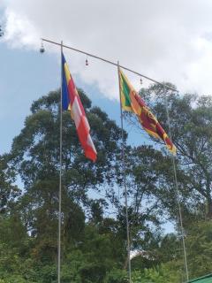 Open Sky T Garden Kithalella - Bandarawela - 8