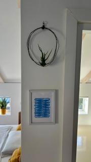 Apartment Pampas - Sveti Filip i Jakov - 2