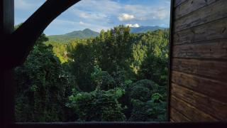 Best 3King EnSuites, Views, Game&Theater Rms, Pool - 6