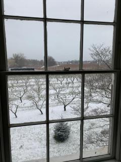 The House of Elsie Bed and Breakfast - 7