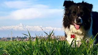 Nature & Comfort Stylish Apartment in the Hills - 8