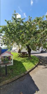 Le Cruzillou - Saint-Jean-Soleymieux - 7