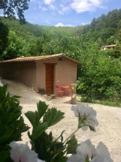 la casetta delle more (monolocale) - 7