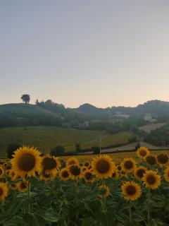 La Casa del Duca - Montalto delle Marche - 6