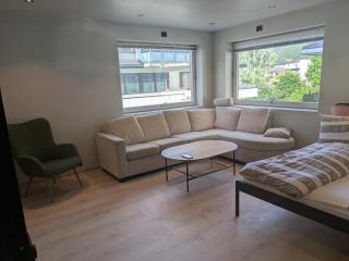 Apartment in the middle of the city center in a quiet street - Stryn - 8