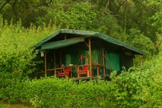 La Leona Eco Lodge - Carate - 2