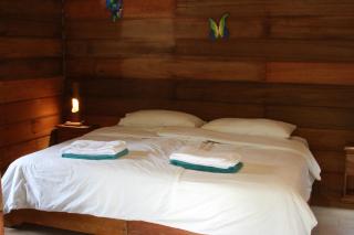 Huasquila Amazon Lodge - Cotundo - 8