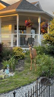 Relaxing Lakeview 2 bedroom entire suite - 1