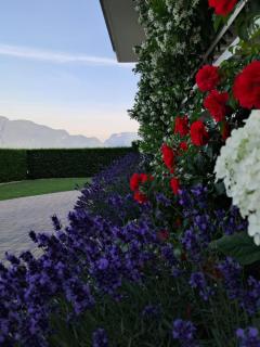 Le Rocce Val di Non - Quality Room & Breakfast - Tassullo - 9