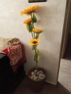 entre mer et soleil, logement familiale - 1