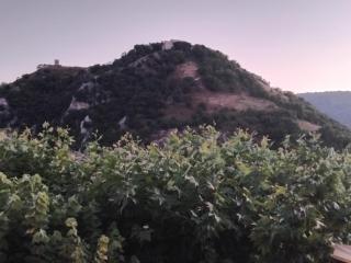 Hotel Turano - Castel di Tora - 8