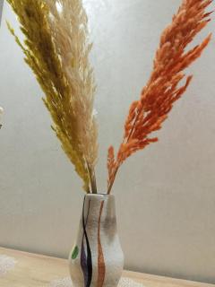 entre mer et soleil, logement familiale - 3