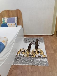 entre mer et soleil, logement familiale - 4