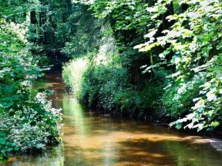 Holiday Home in Aalten near Recreational Pond, cleaning included - Aalten - 8