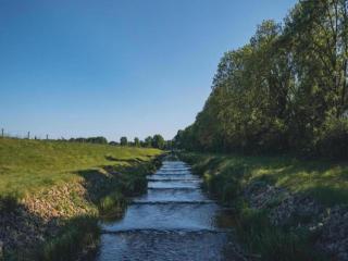 Relax, Explore, and Dine in Aalten, cleaning included - 7