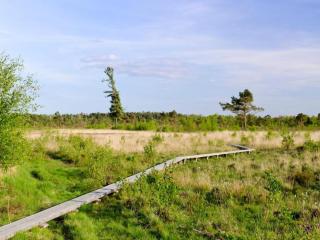 Holiday Home in Aalten near Recreational Pond, cleaning included - Aalten - 5