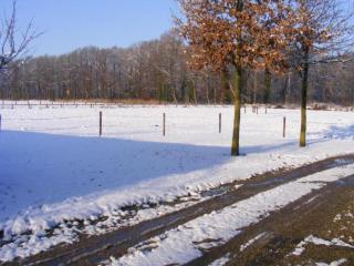 Relax, Explore, and Dine in Aalten, cleaning included - 4