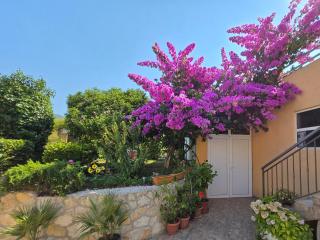 Apartments PHARIA - Jelsa - 8