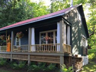 Spa & Water access - Pionnier - Mont-Tremblant - 9