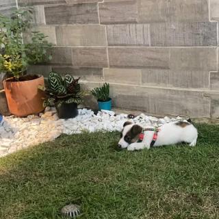 Casa Farallones a 20 minutos de Cali, Negocios, Familia, Casa tranquila, ideal para trabajos temporales o ejecutivos en la zona, descanso, privacidad, excelente señal wifi - Jamundí - 1