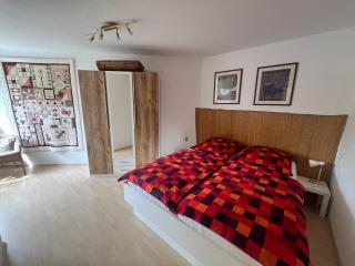 Einliegerwohnung in ruhiger Lage - Gunningen - 1