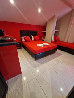 Apartmani Vesna Luxury & Michel ap 8 - 8