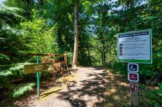 Forest Studio Oasis - Mile from Multnomah Village - 8