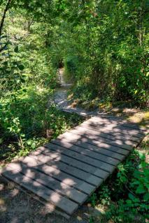 Forest Studio Oasis - Mile from Multnomah Village - 5