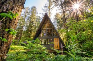 Modern A-Frame Cabin in the Woods - Rhododendron - 0