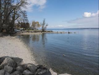 Séjour calme près du Léman - Mies - 9