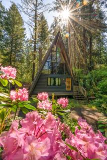 Modern A-Frame Cabin in the Woods - 3