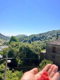 Vila Kocibelli - Dardhë - 2