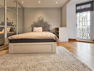 Luxury Flat in Central London - 7