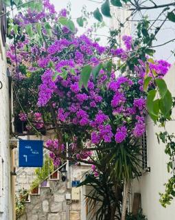 Apartment Sun & Sea - 9