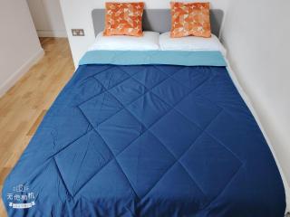 2-Bedroom Flat Near Euston Station, Central London - 9