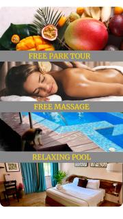 Kika Zaru Free park tour, massage and breakfast - Quepos - 0