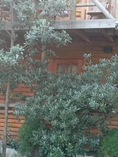 La Maison des Fous - Papudo - 9