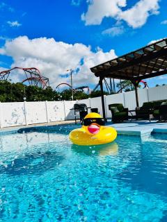 Busch Gardens Deluxe Edition w/heatedpool - Tampa - 0