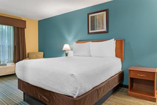 Best Western Plus Traverse City - Traverse City - 5