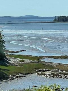 Lamoine Cove House - Marlboro - 5