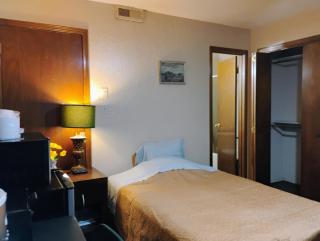 Golden Sunflower's Apt D1 - Lawton - 8