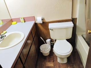Golden Sunflower's Apt D1 - Lawton - 7