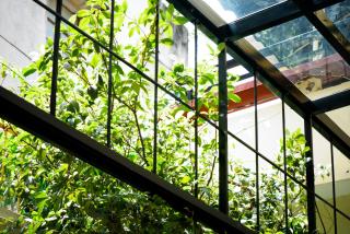 Foshan Old Street House Shunde Qinghui Garden Branch - 4