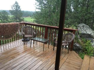 New cabin 1 car rental available - Custer - 9