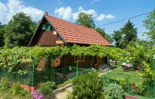 Nice Home In Konjscina With Jacuzzi - Gornja Konjšćina - 0