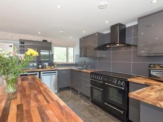 Silver Dawn - Horning - 2